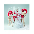 Fashion Dolls