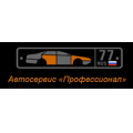 Профессионал, автотехцентр