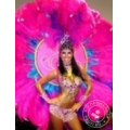 Rio Carnaval